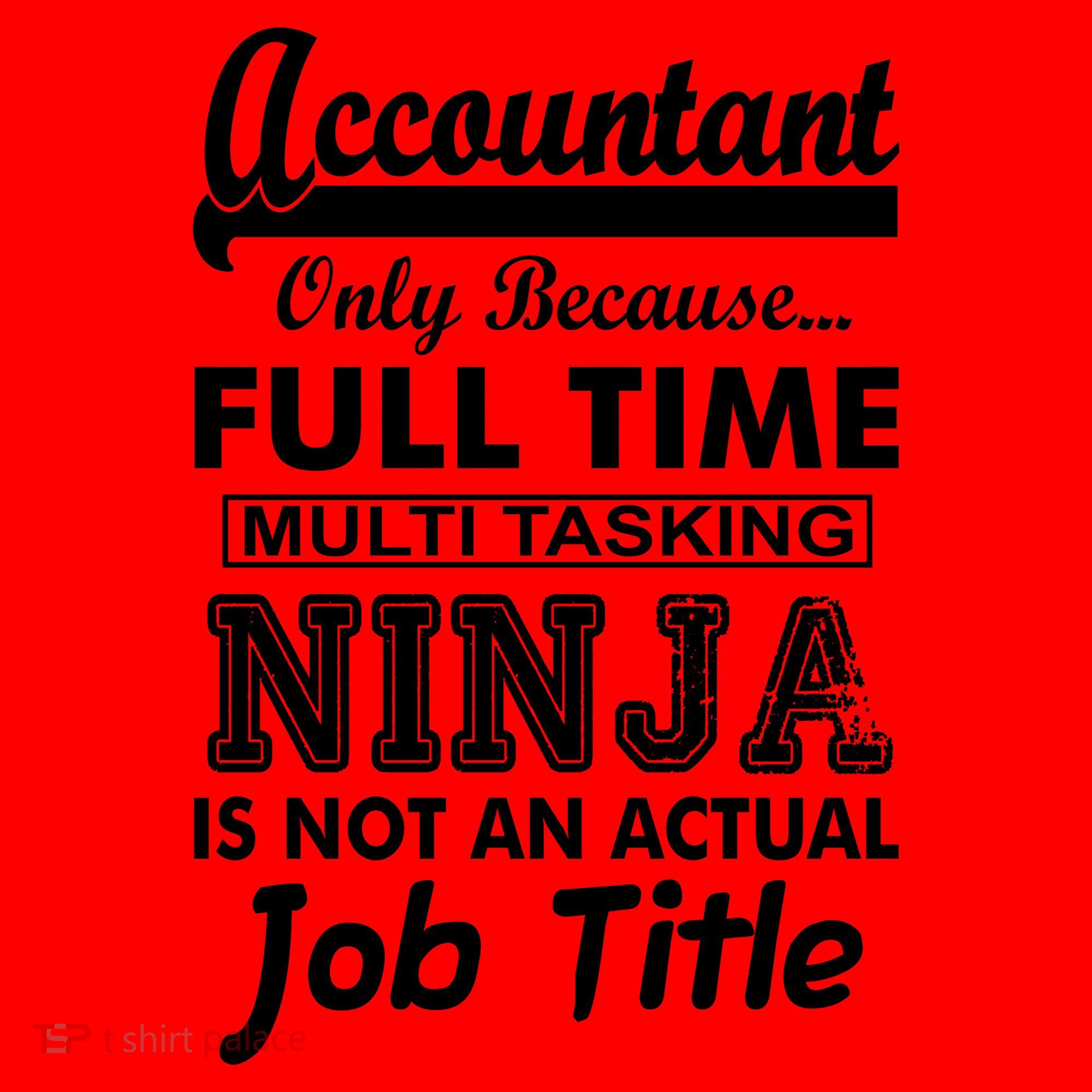 Funny Accountant Full Time Ninja Santa Hat