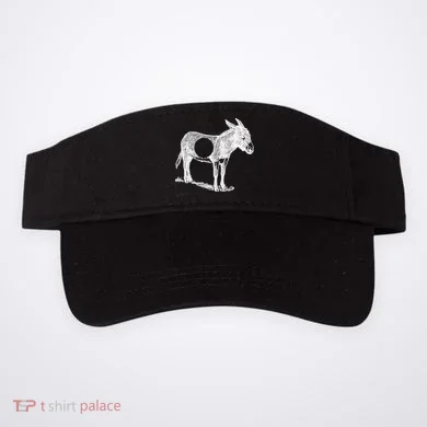 Visor
