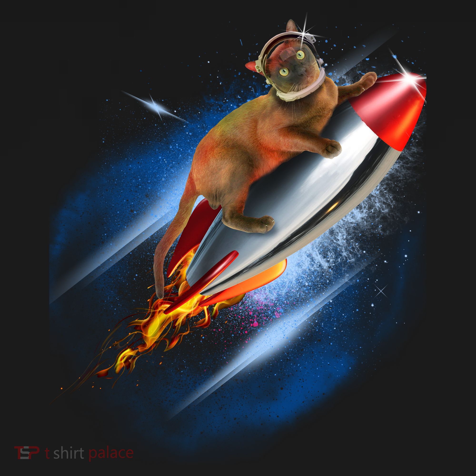 Funny Astronaut Cat Blasting Off In Space Apron