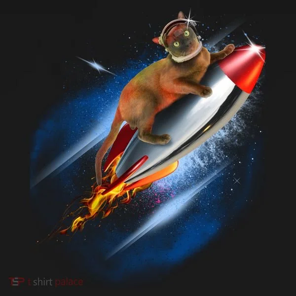 Funny Astronaut Cat Blasting Off In Space Bucket Hat