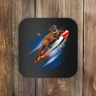 Coaster