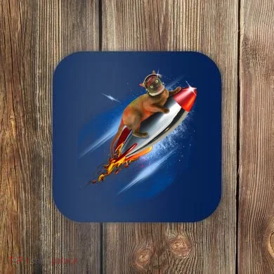 Coaster