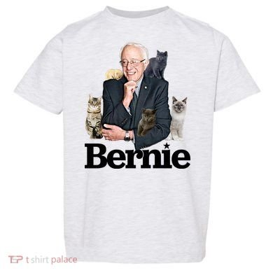 Funny Bernie Sanders Cats Toddler T-Shirt