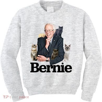 Funny Bernie Sanders Cats Kids Sweatshirt