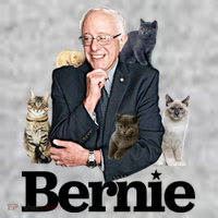 Funny Bernie Sanders Cats Kids Sweatshirt thumb 2