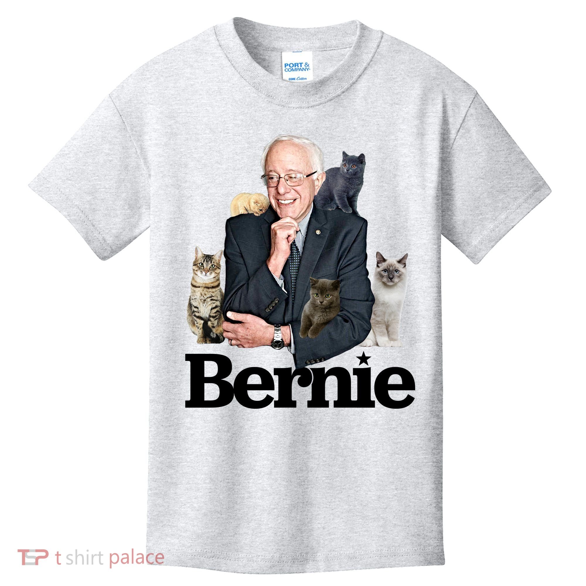Funny Bernie Sanders Cats Kids T-Shirt