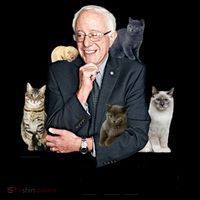 Funny Bernie Sanders Cats Coffee Mug thumb 5