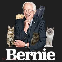 Funny Bernie Sanders Cats Beanie thumb 2