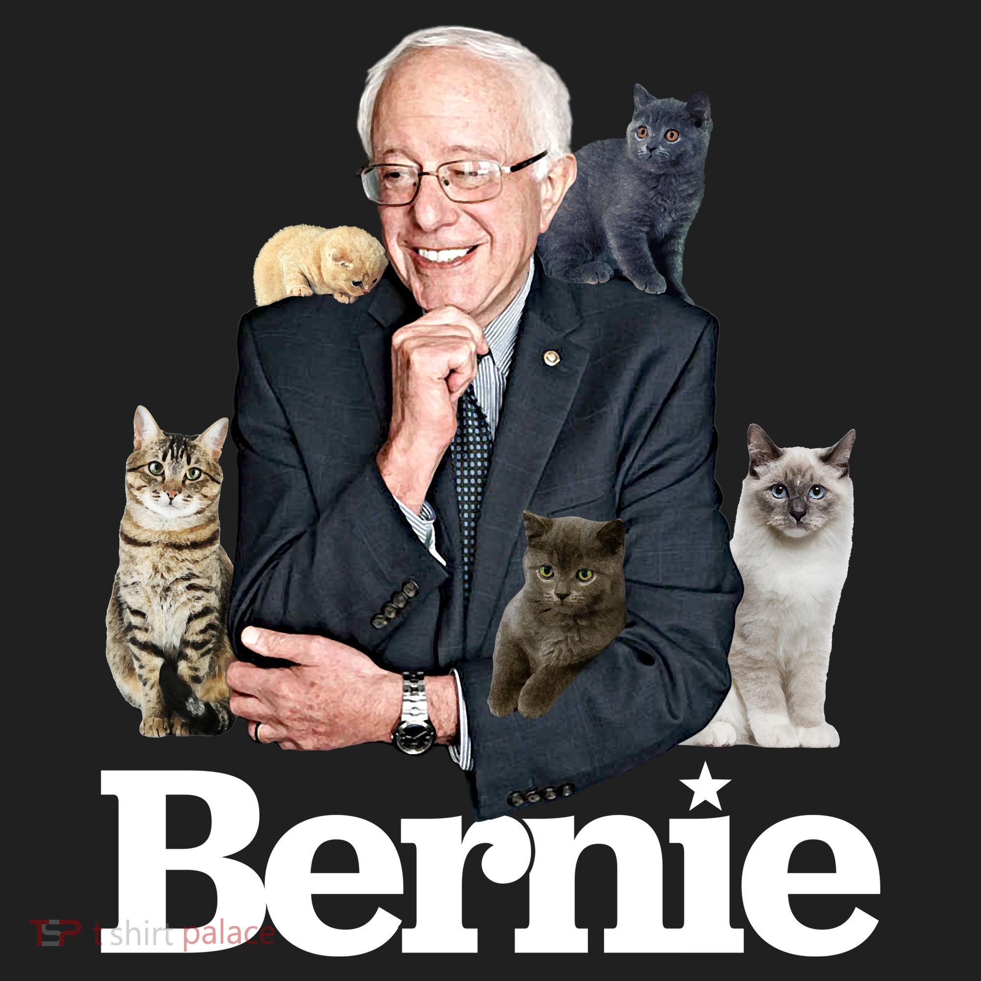 Funny Bernie Sanders Cats Beanie
