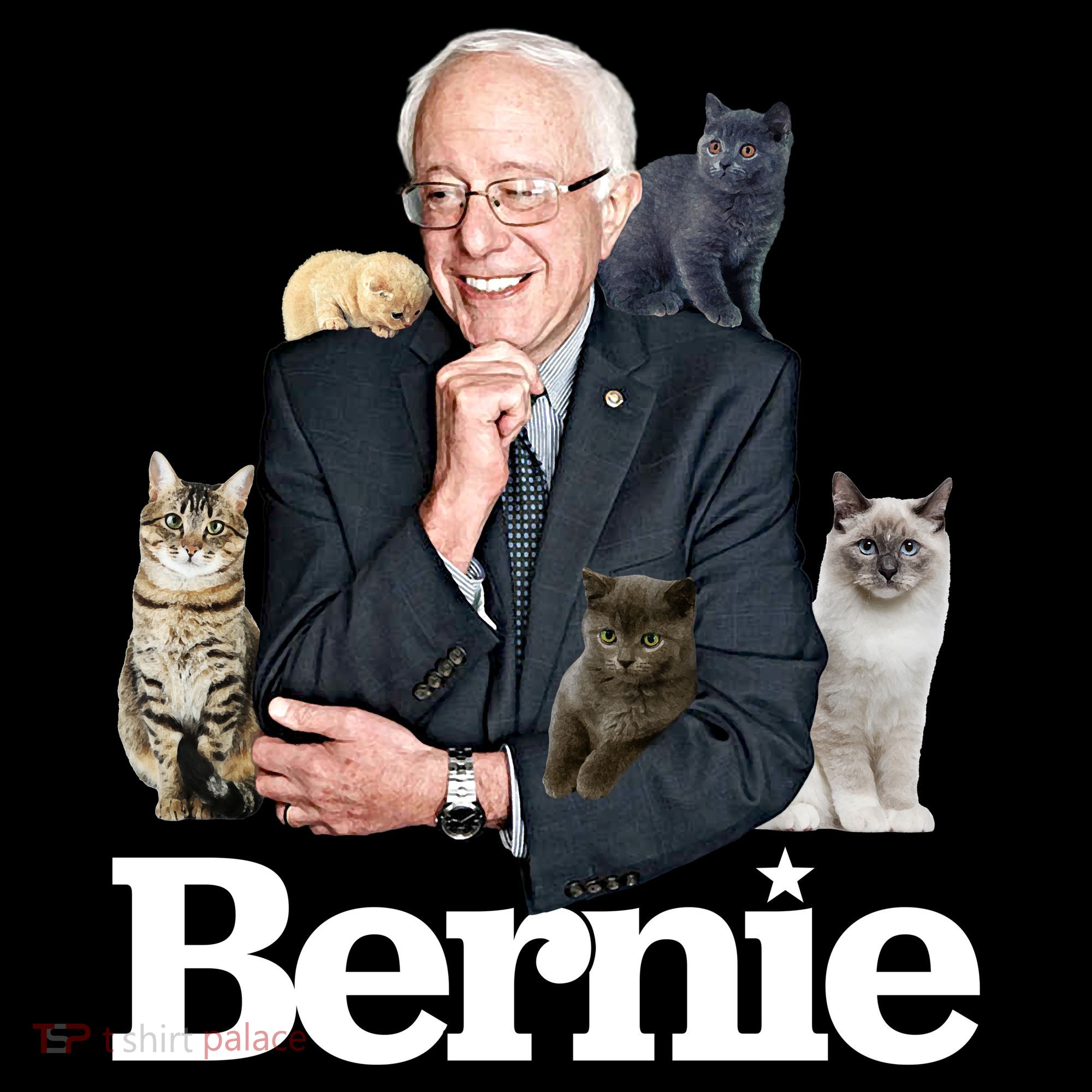 Funny Bernie Sanders Cats Ornament