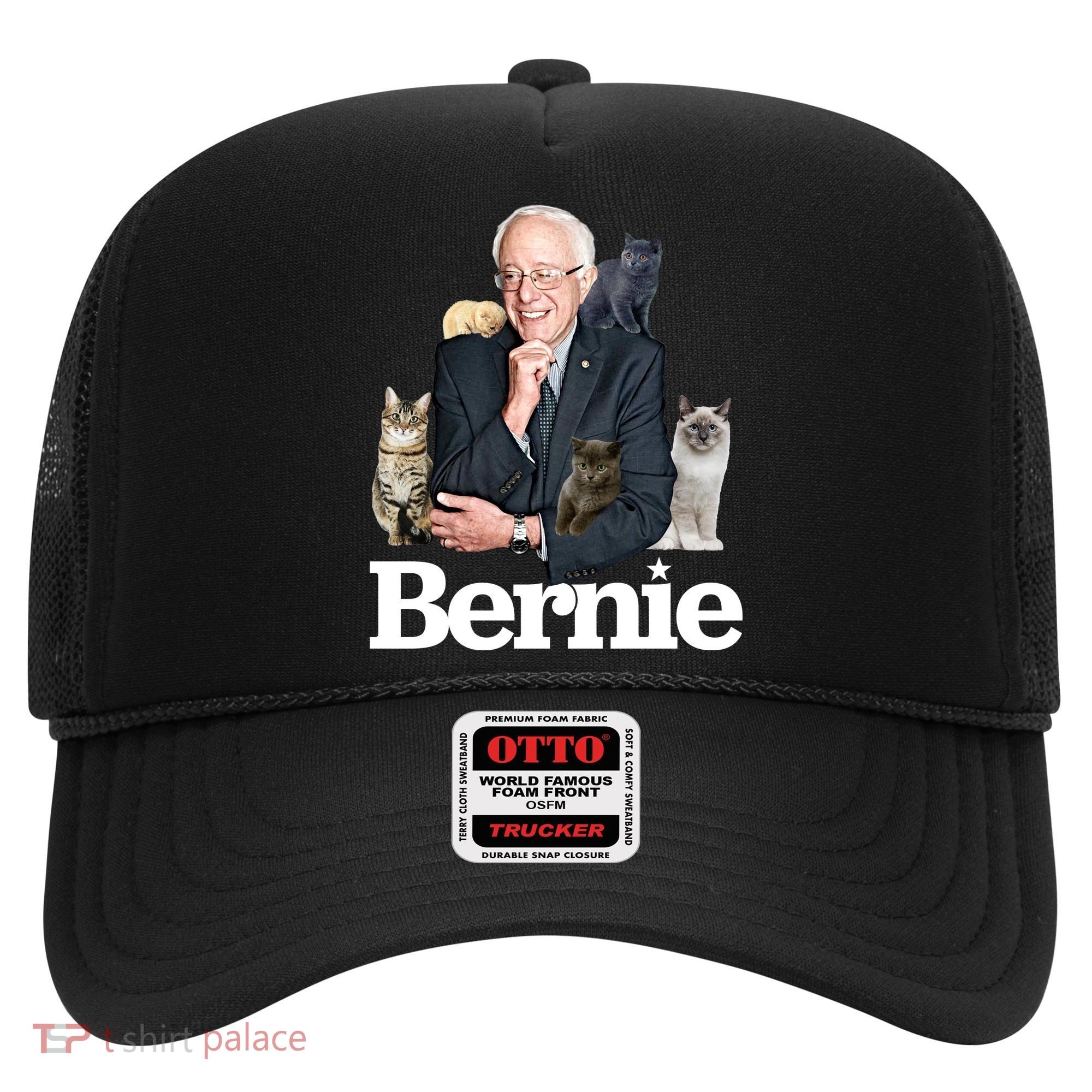 Funny Bernie Sanders Cats Hat