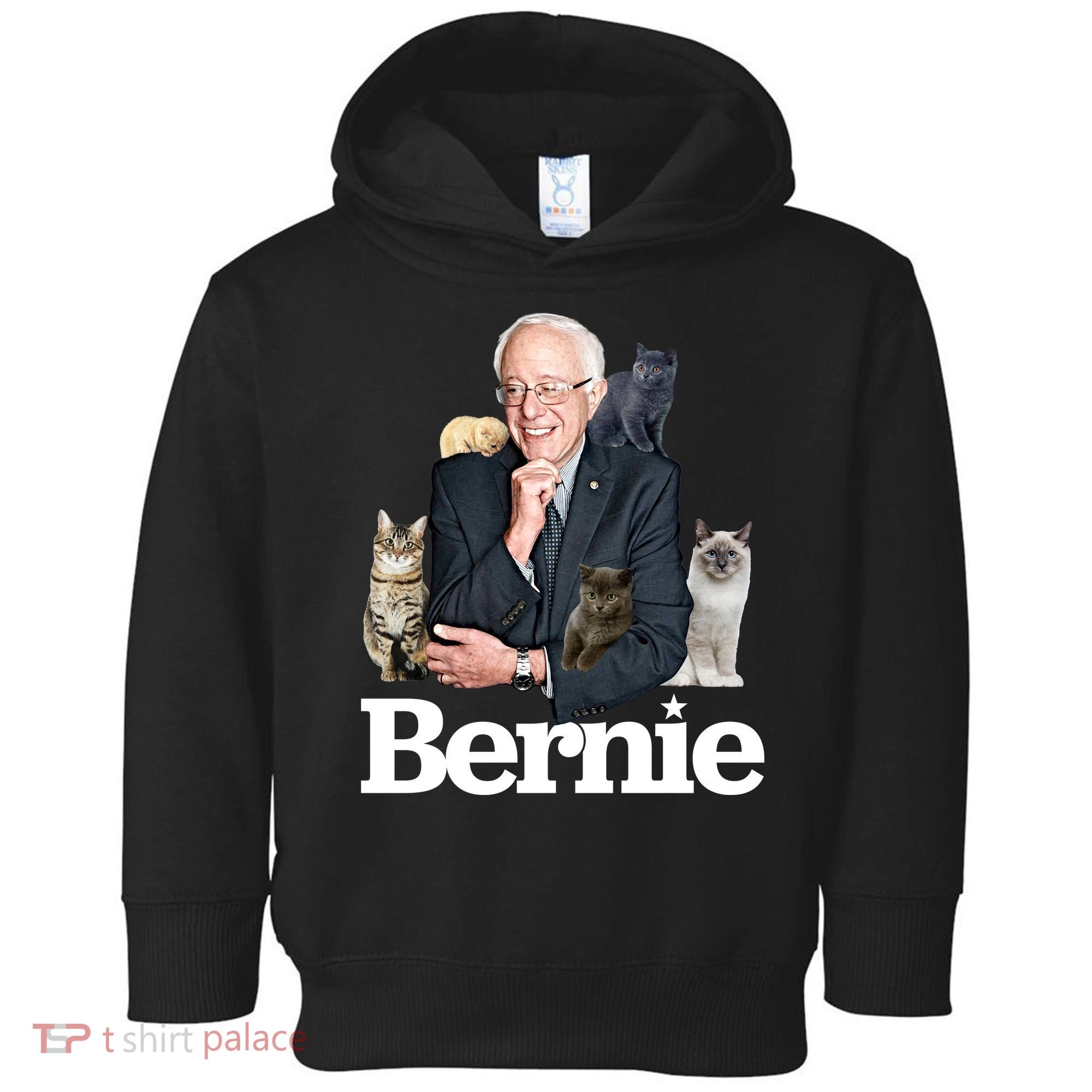 Funny Bernie Sanders Cats Toddler Hoodie