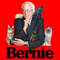 Funny Bernie Sanders Cats Santa Hat thumb 1