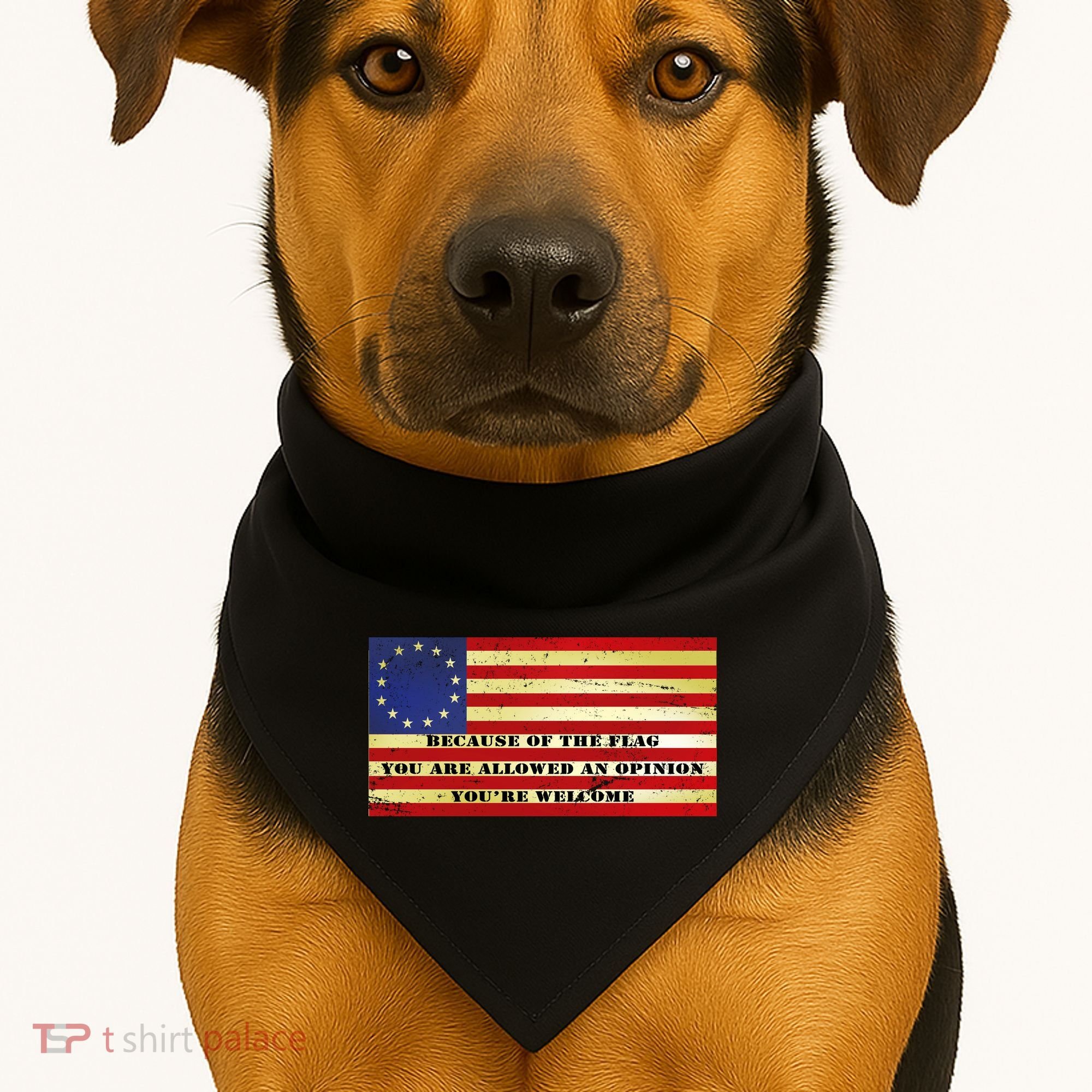 Funny Betsy Ross Original 13 Colony Flag USA-Made Doggie Bandana