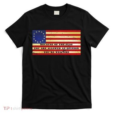 Funny Betsy Ross Original 13 Colony Flag T-Shirt