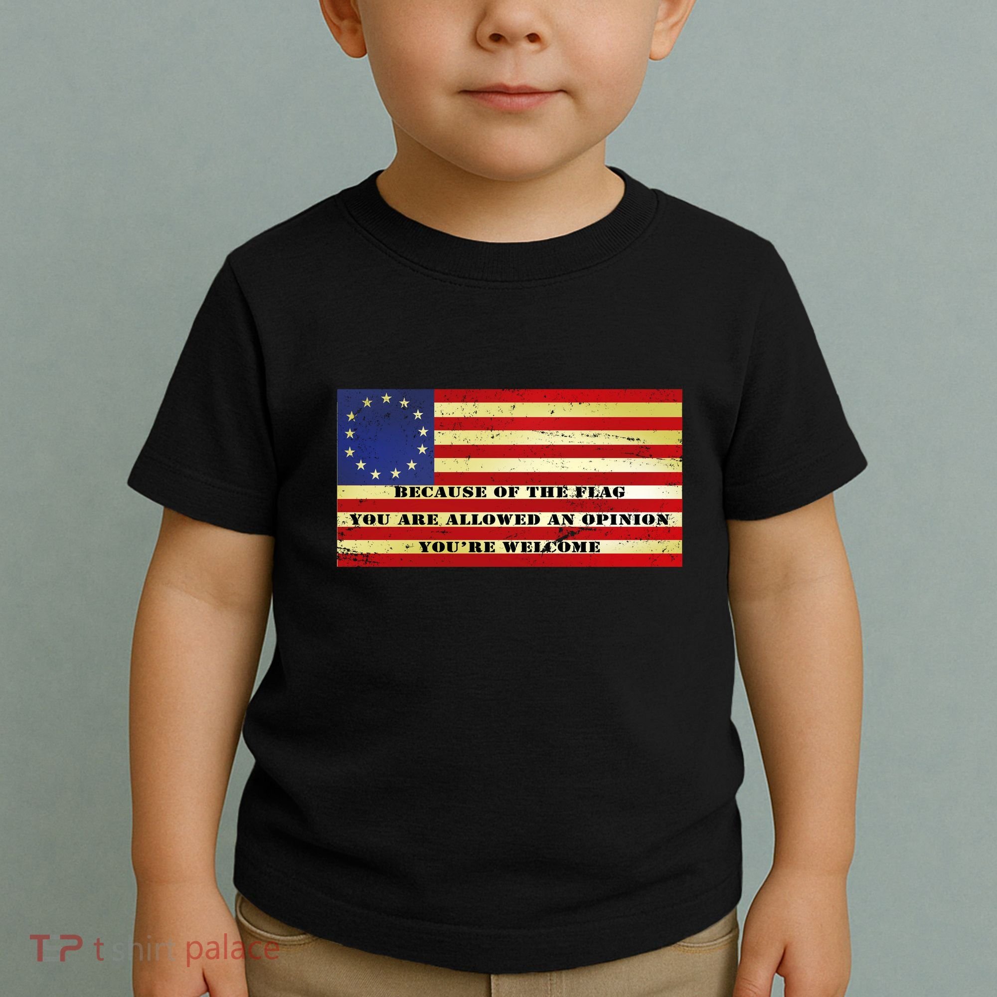 Funny Betsy Ross Original 13 Colony Flag Toddler T-Shirt
