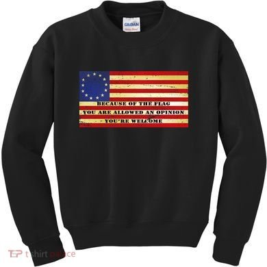 Funny Betsy Ross Original 13 Colony Flag Kids Sweatshirt