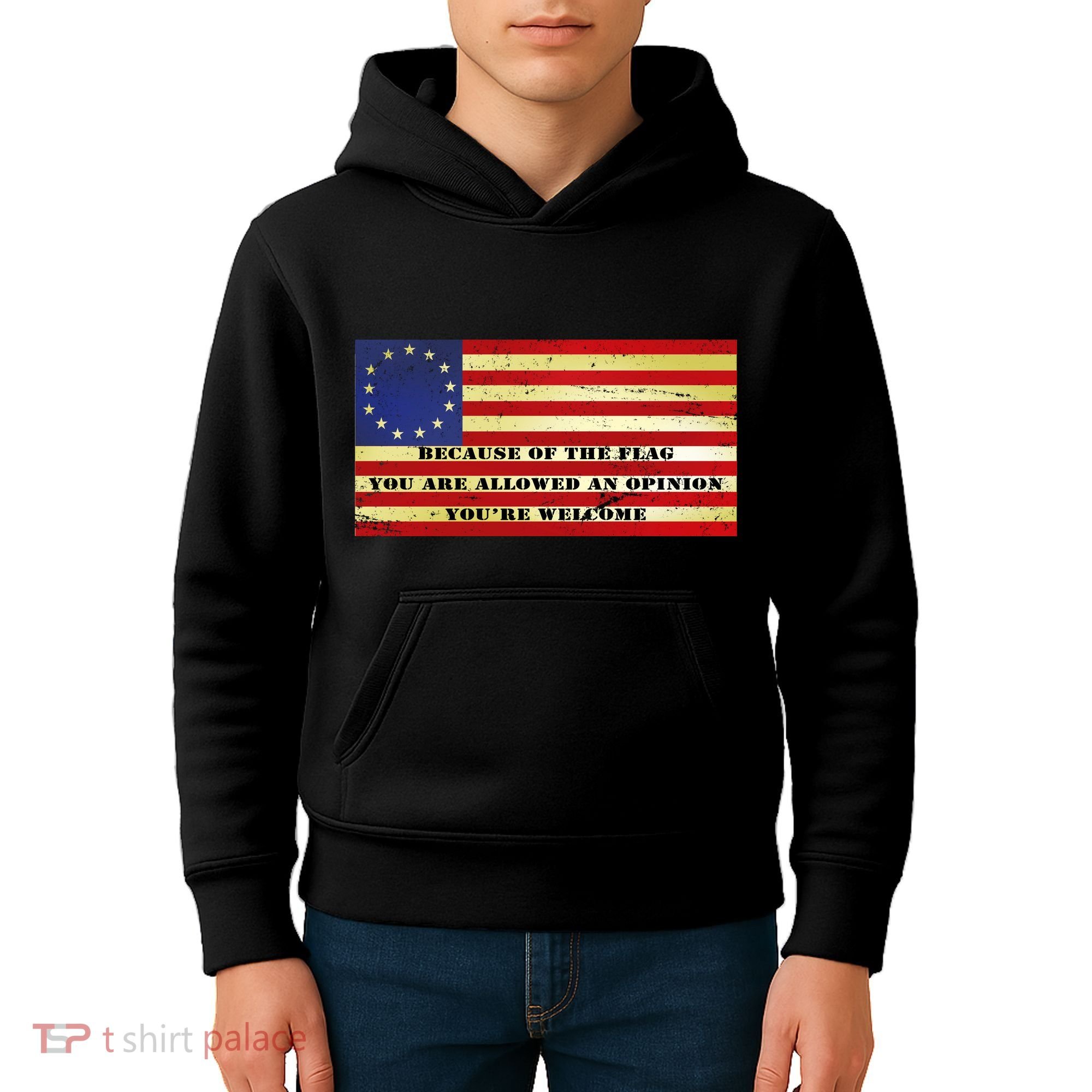 Funny Betsy Ross Original 13 Colony Flag Kids Hoodie