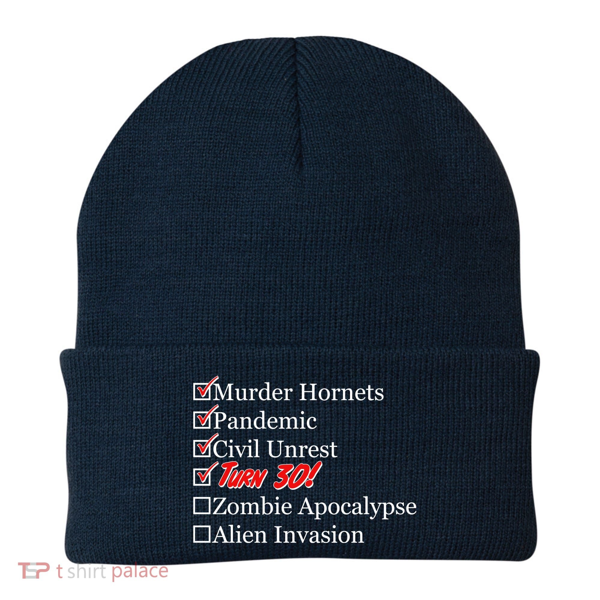 Funny Birthday In Quarantine Checklist 30th Birthday Beanie