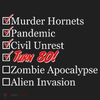 Funny Birthday In Quarantine Checklist 80th Birthday Golf Towel thumb 3