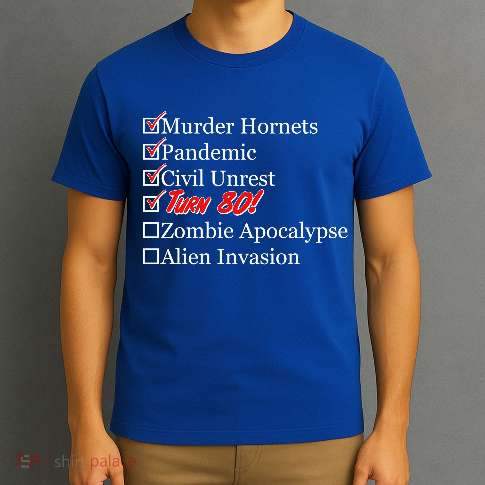 Funny Birthday In Quarantine Checklist 80th Birthday T-Shirt