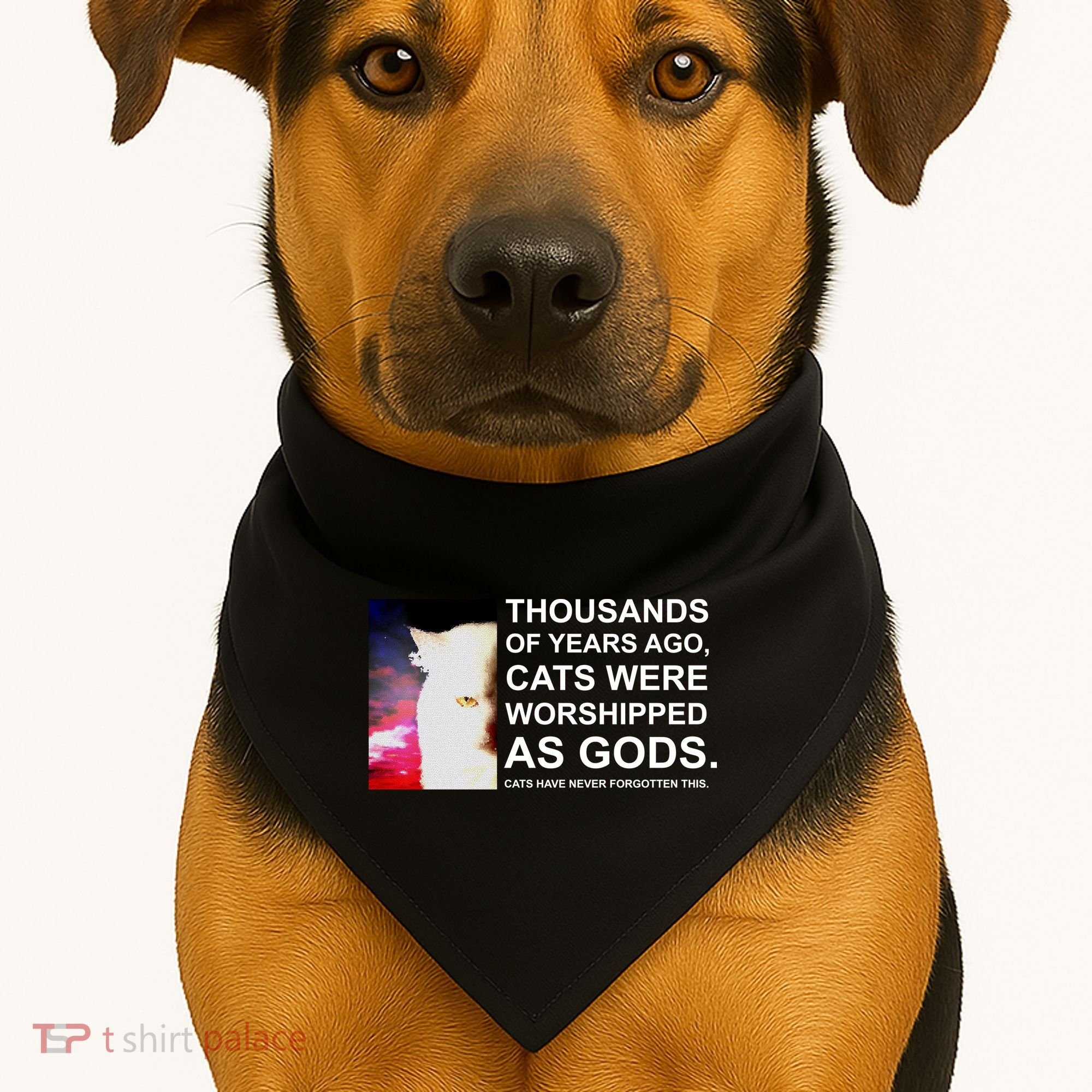 Funny Cat - Fluff You Fluffin Fluff USA-Made Doggie Bandana