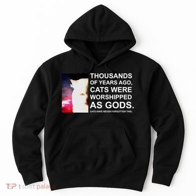 Funny Cat - Fluff You Fluffin Fluff Hoodie