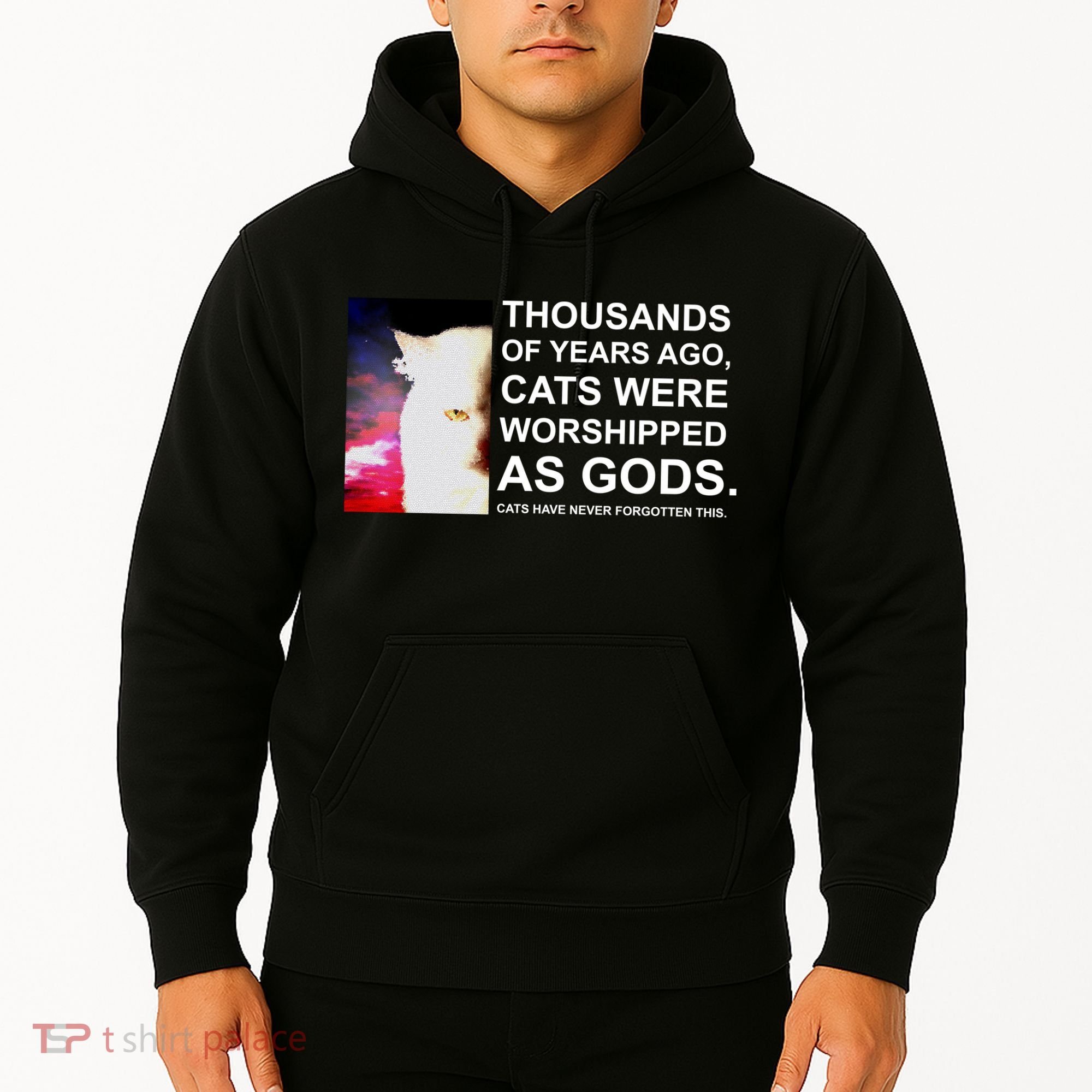 Funny Cat - Fluff You Fluffin Fluff Hoodie