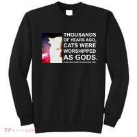 Funny Cat - Fluff You Fluffin Fluff Sweatshirt thumb 0