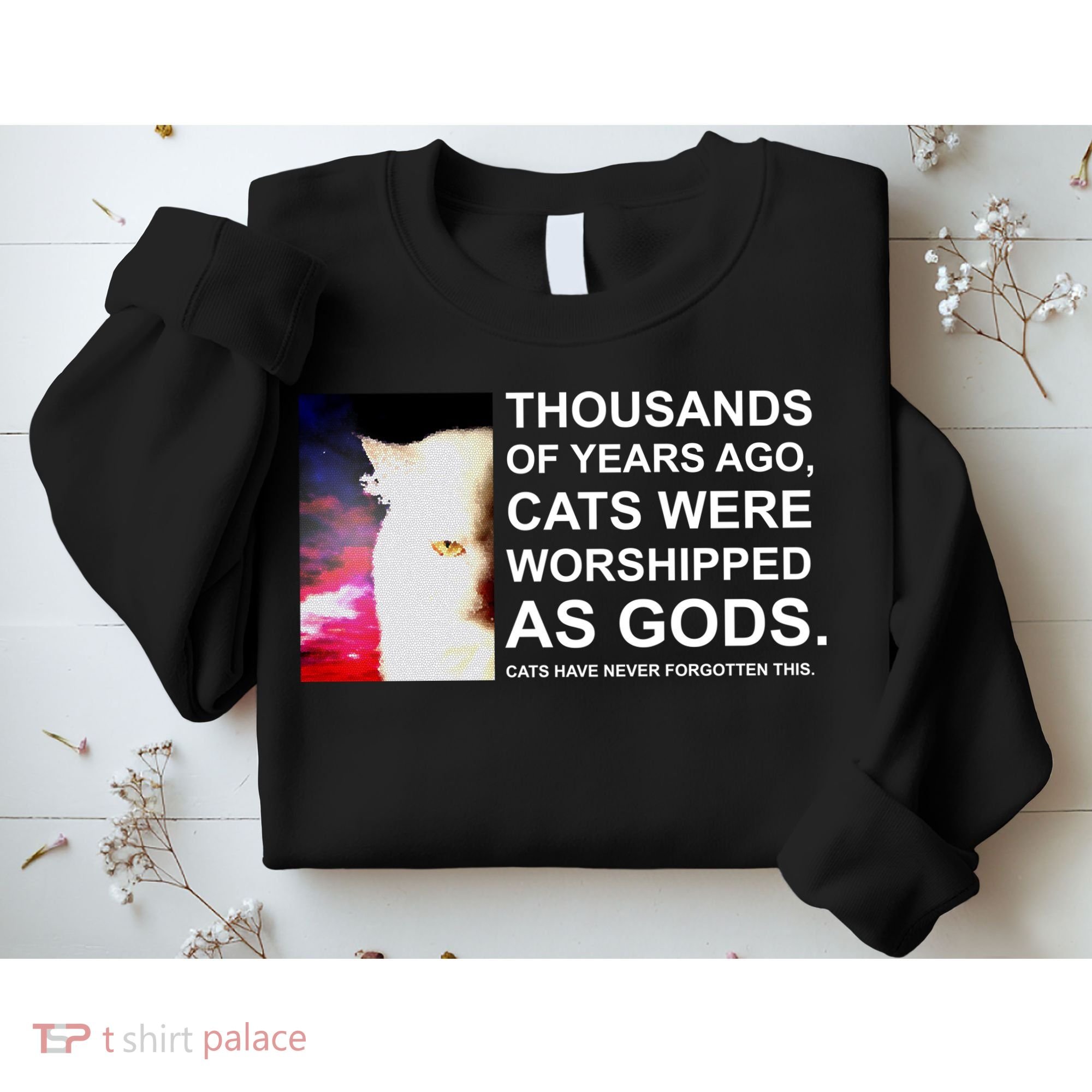 Funny Cat - Fluff You Fluffin Fluff Sweatshirt