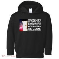 Funny Cat - Fluff You Fluffin Fluff Toddler Hoodie thumb 0