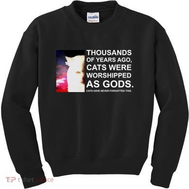 Funny Cat - Fluff You Fluffin Fluff Kids Sweatshirt