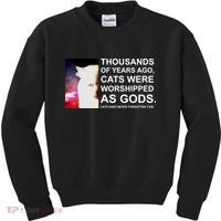 Funny Cat - Fluff You Fluffin Fluff Kids Sweatshirt thumb 0