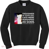Funny Cat - Fluff You Fluffin Fluff Kids Sweatshirt thumb 0
