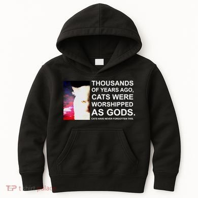 Funny Cat - Fluff You Fluffin Fluff Kids Hoodie