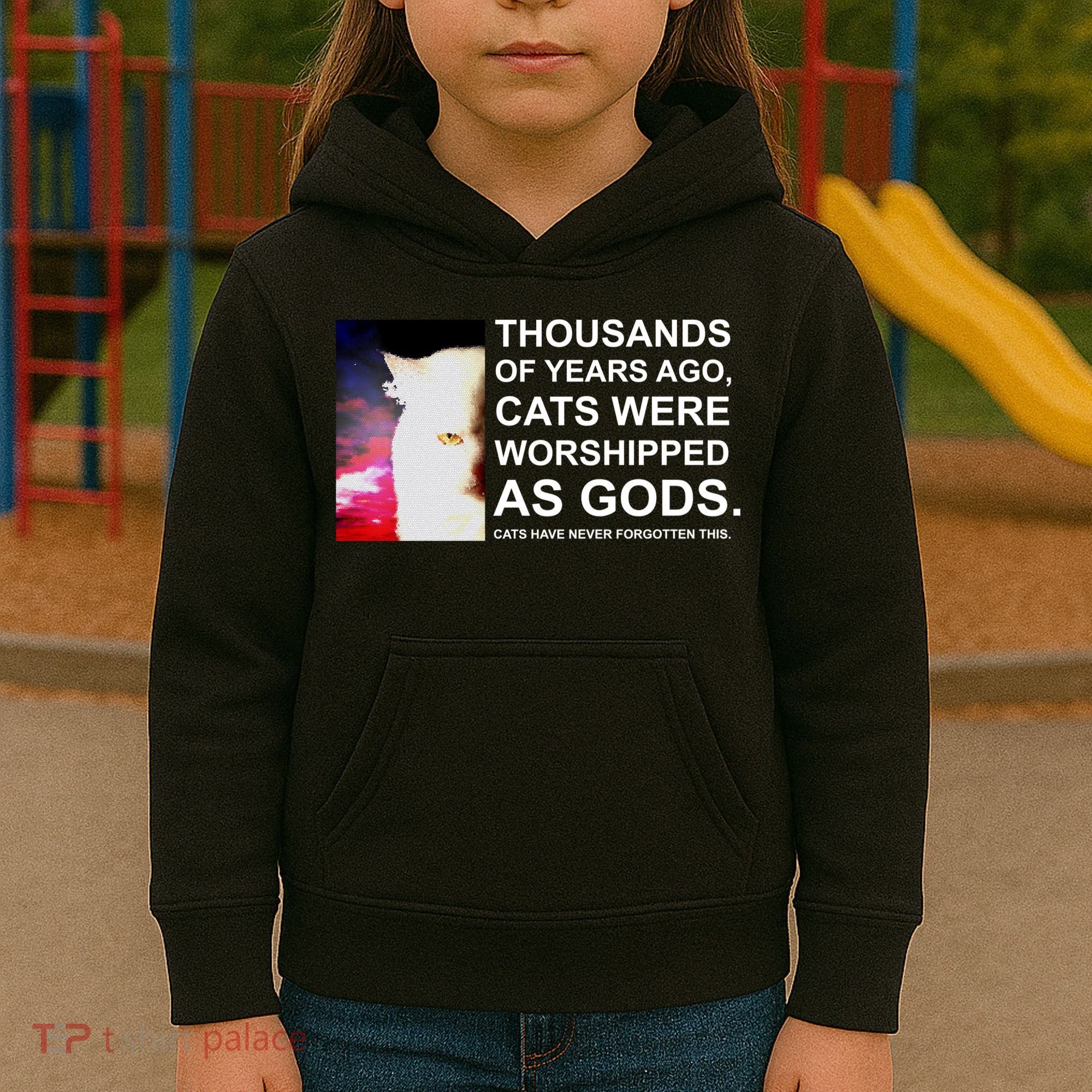 Funny Cat - Fluff You Fluffin Fluff Kids Hoodie