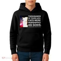 Funny Cat - Fluff You Fluffin Fluff Kids Hoodie thumb 4