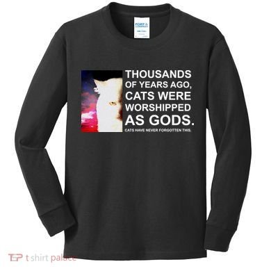 Funny Cat - Fluff You Fluffin Fluff Kids Long Sleeve Shirt