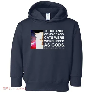 Toddler Hoodie
