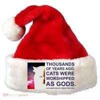 Funny Cat - Fluff You Fluffin Fluff Santa Hat thumb 0