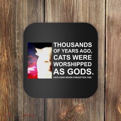Funny Cat Coaster