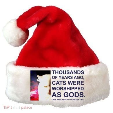 Funny Cat Santa Hat