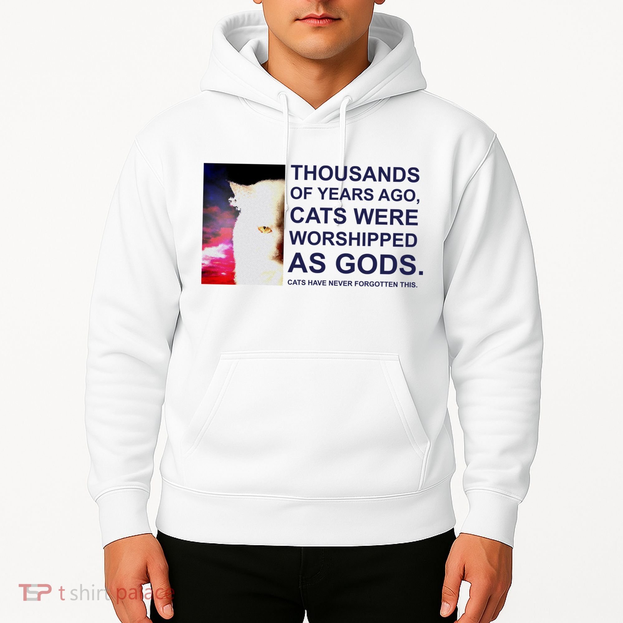 Funny Cat Hoodie