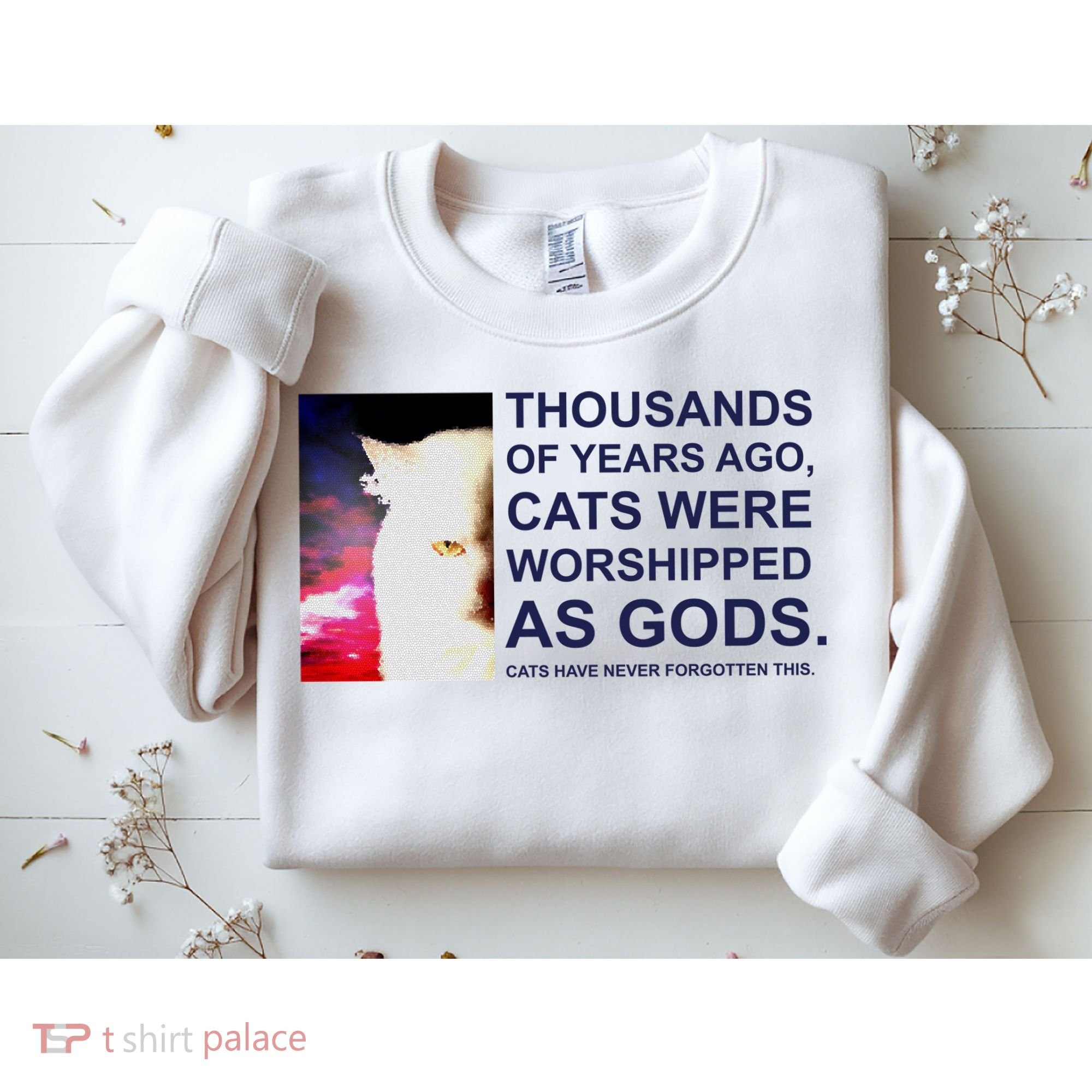 Funny Cat Sweatshirt