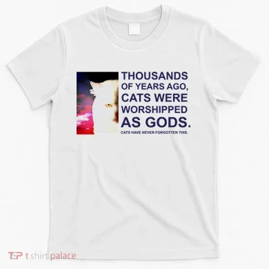 Funny Cat T-Shirt