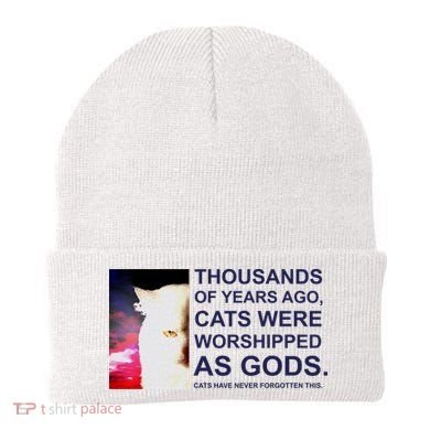 Funny Cat Beanie