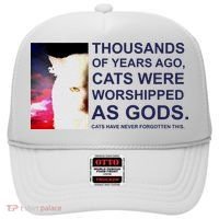 Funny Cat Hat thumb 0