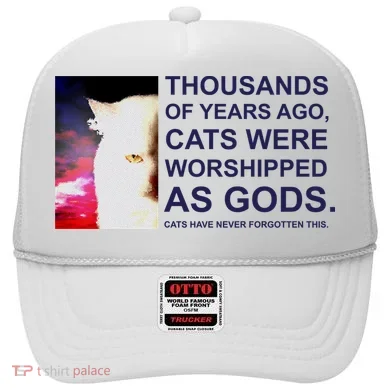 Funny Cat Hat