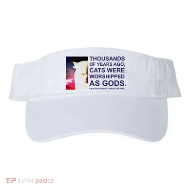 Visor