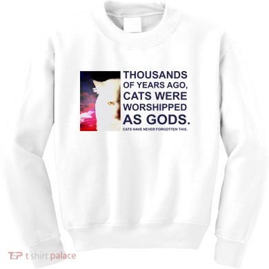Funny Cat Kids Sweatshirt